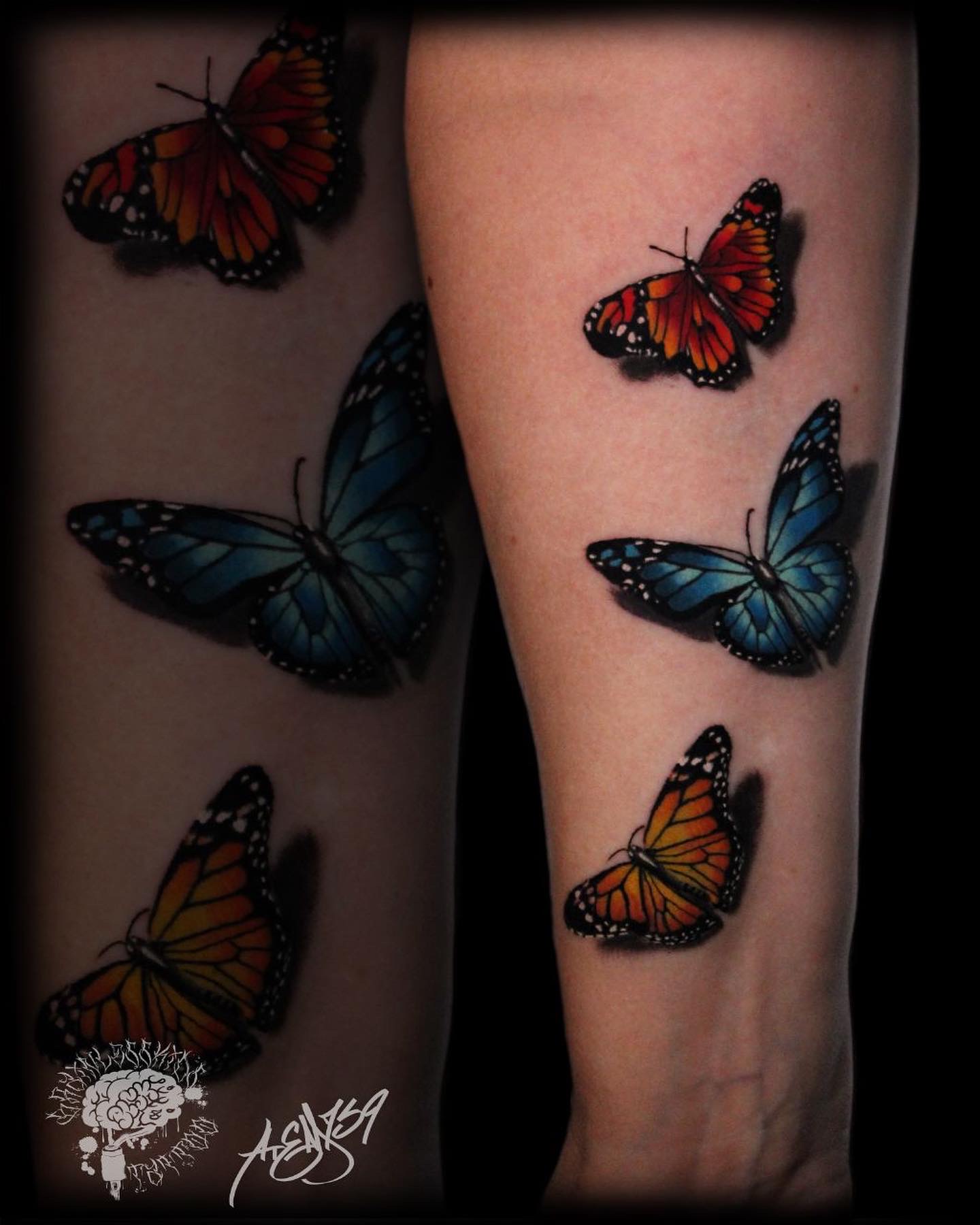 0BF8E2CE-10C3-47F3-9377-99B6E1304146